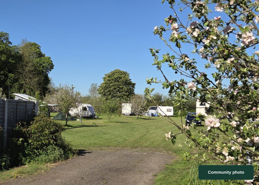 The Orchard Campsite