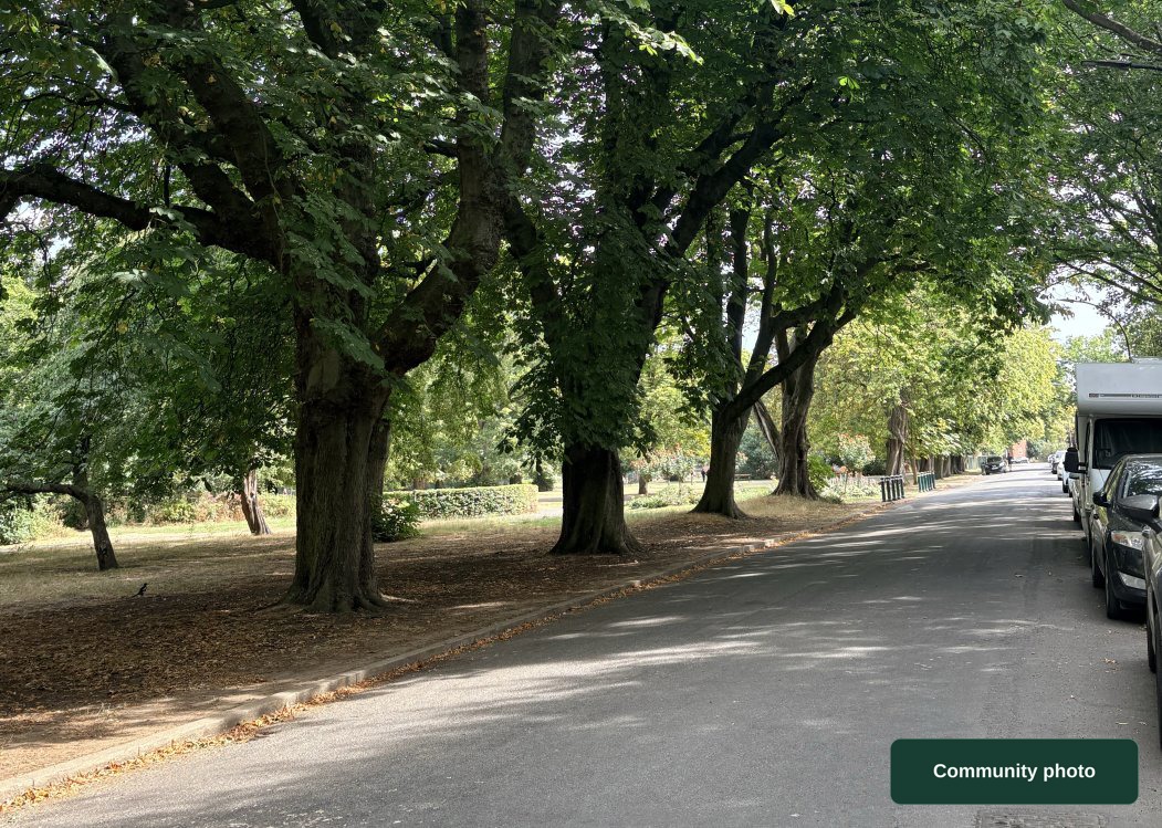 Hull - Pearson Park