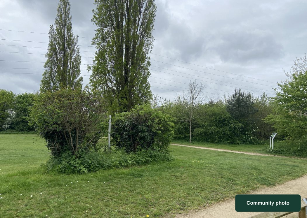 Watford - Chaffinch Lane