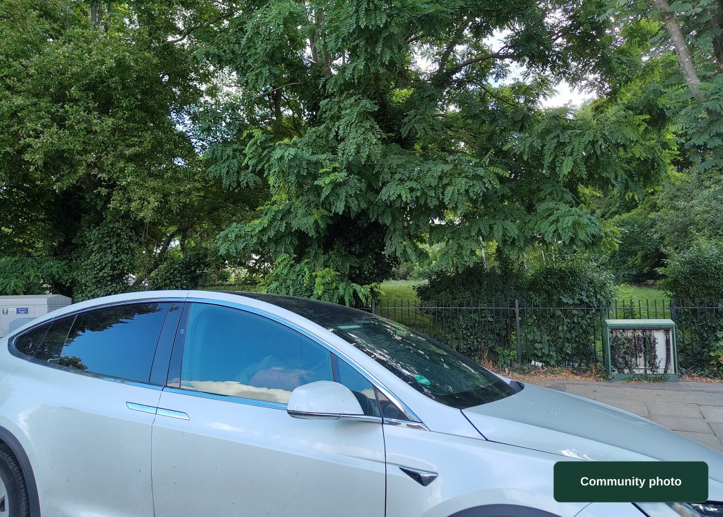 London Borough of Haringey - The Avenue