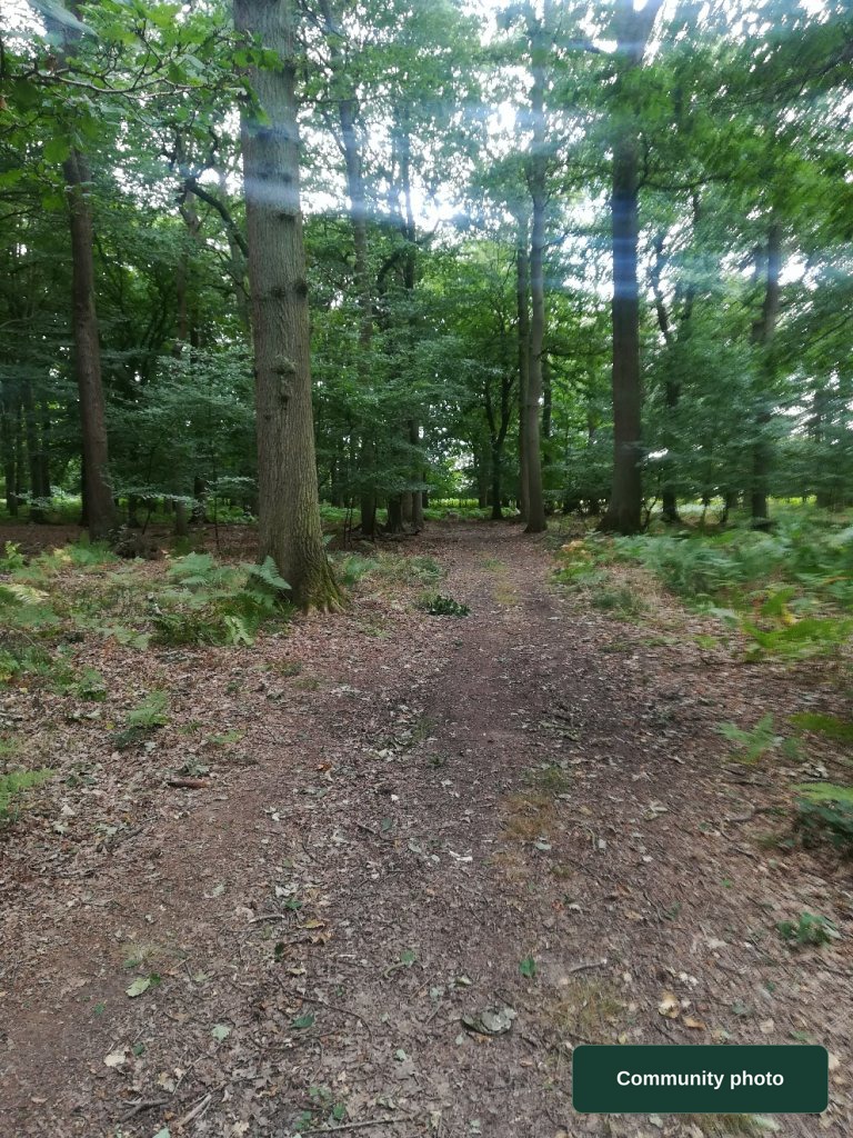 - Hitchwood Lane