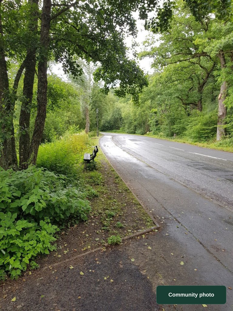 Llandrindod Wells Community - Princes Avenue