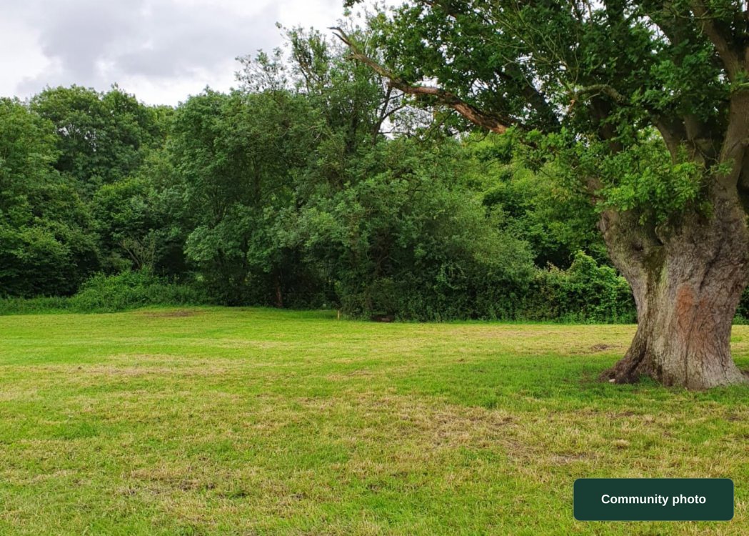 Hill Top Farm Orchard Campsite